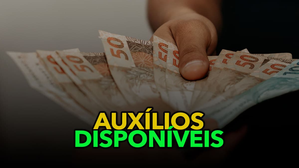 Revelado Aux Lios Dispon Veis Atrav S Do Governo Federal Que Voc