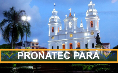 Pronatec PA 2016