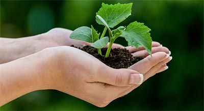 Curso de Educação Ambiental