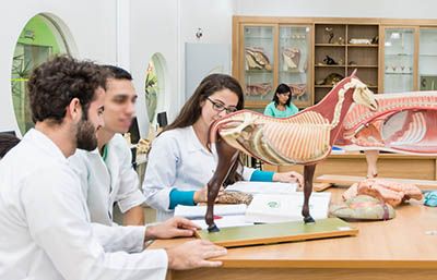 Vestibular Medicina Unitau 2018