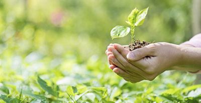 Curso Técnico em Meio Ambiente Senac EaD 2018