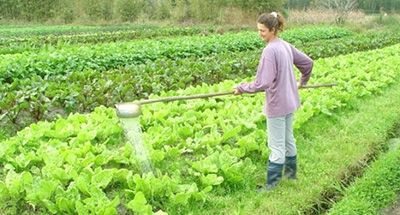 Inscrição Curso Gratuito de Técnico em Agroindústria 2018