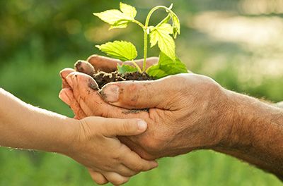 Curso Monitor Ambiental Senac PSG 2018
