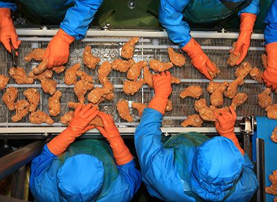 Operador Industrial de Alimentos o que faz