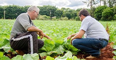 Curso Técnico Agrícola 2018