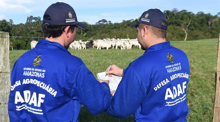 Concurso ADAF 2018
