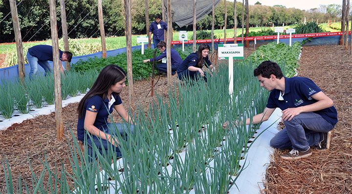 Faculdade de Agronomia Gratuita 2019