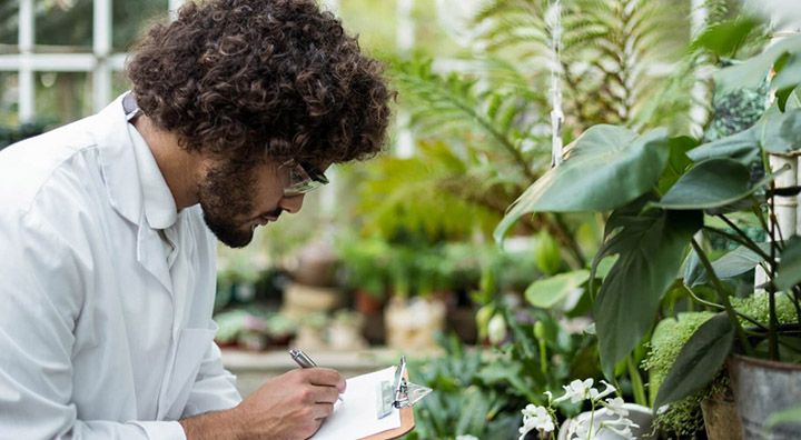 Curso Superior Gratuito de Agronomia 2019Curso Superior Gratuito de Agronomia 2019