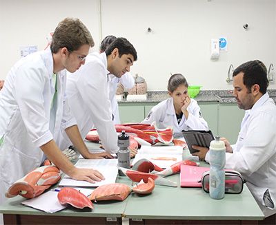 Cursos de Medicina que aceitam o Enem