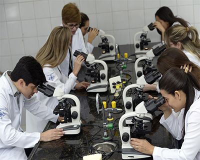 Sisu Medicina Notas de Corte