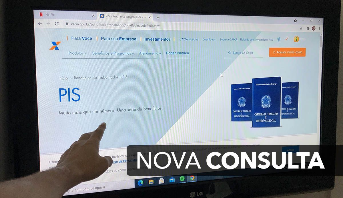 NOVA CONSULTA PIS em ABRIL!