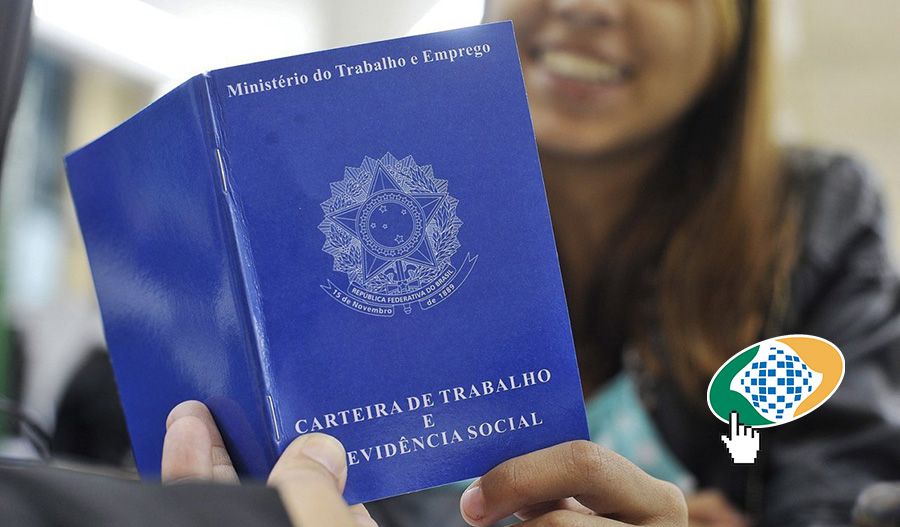 Veja como fazer o cadastro CNIS e obter o Extrato