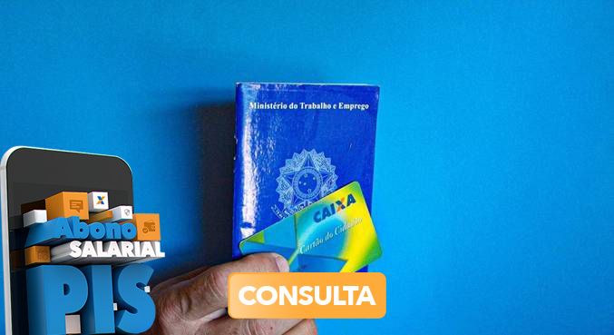 Aplicativo para consultar PIS/Pasep