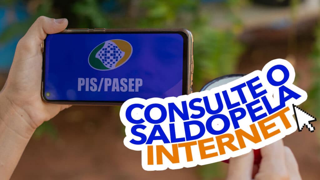 aprenda-a-consultar-o-saldo-do-pis-pasep-pela-internet