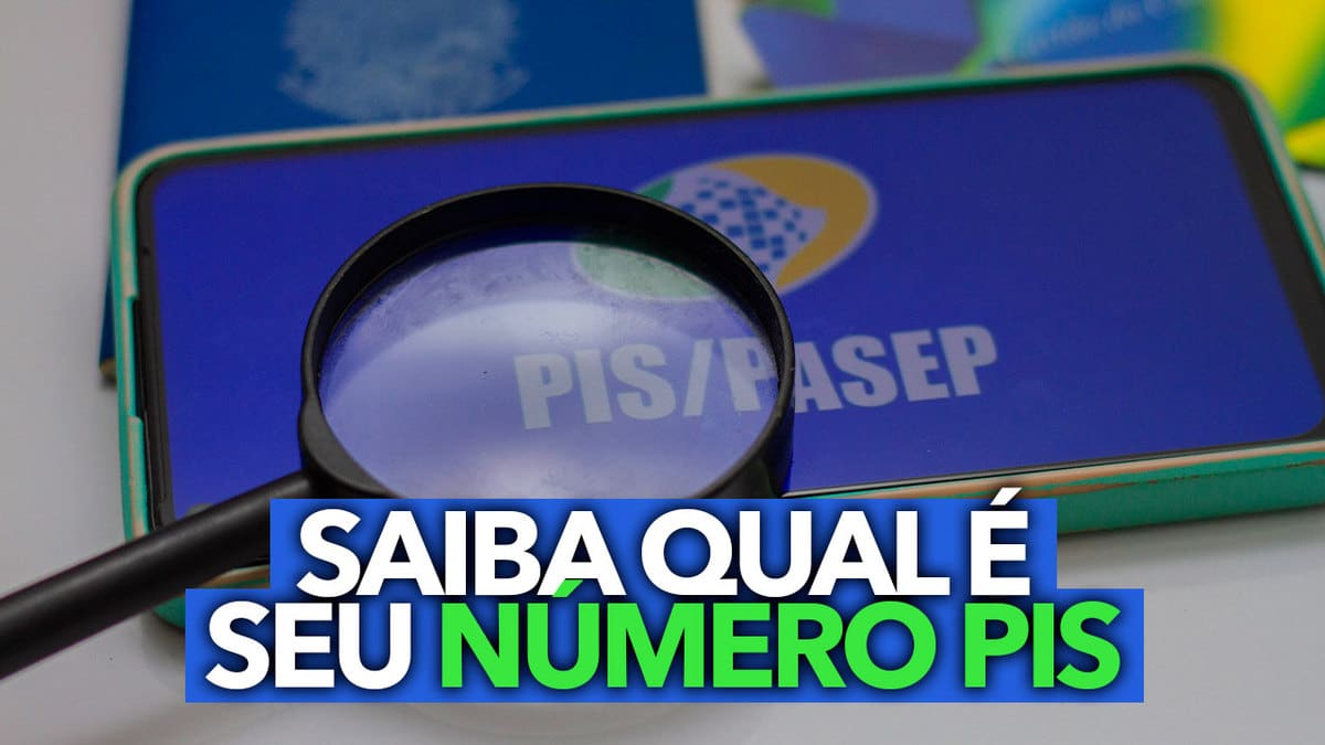 Esqueceu O N Mero Do Pis Aprenda A Conferir De Forma R Pida Utilizando