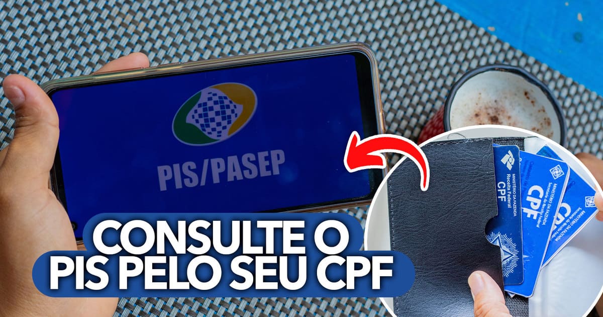 Aprenda A Consultar O PIS Pelo Seu CPF Simples E Pr tico