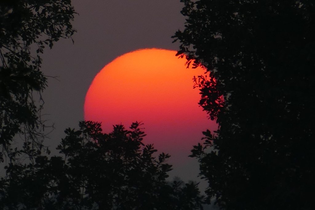 Você reparou que o Sol laranja está aparecendo em vários locais? Entenda o que significa.