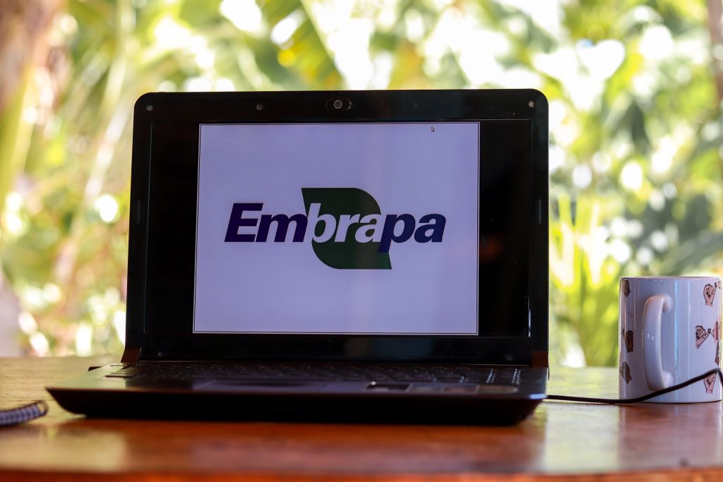 Mais perto do que você pensa! Edital de concurso da EMBRAPA está prestes a sair, atraindo concurseiros de plantão em todo Brasil