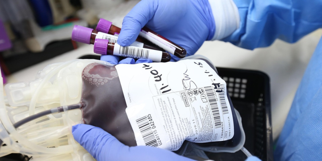 Como doar sangue saiba com quais tipos sanguíneos você é compatível