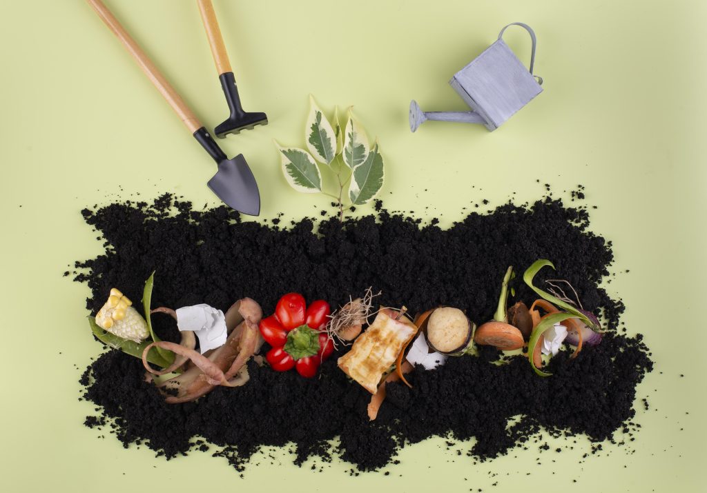 Compostagem doméstica
