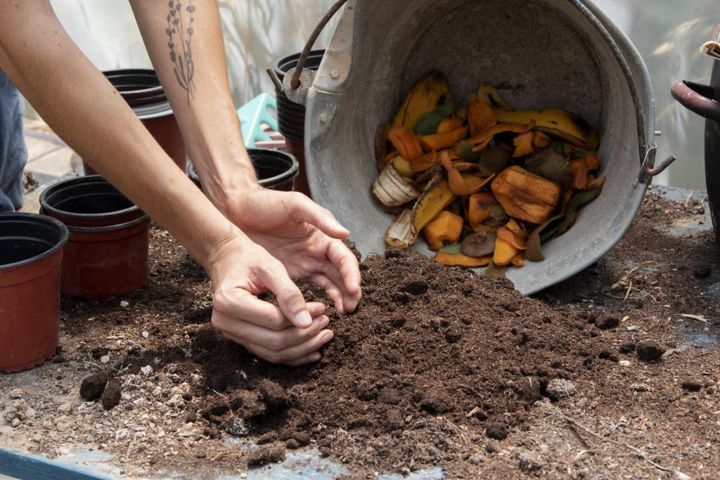 Compostagem doméstica