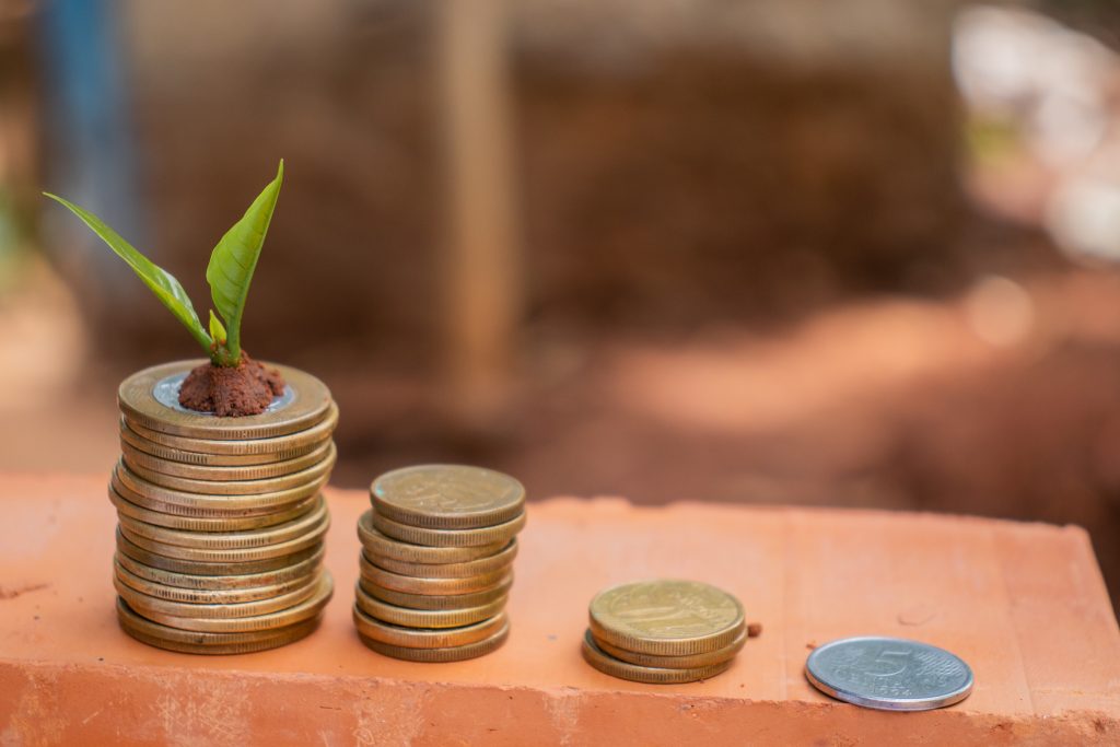 Educação financeira nas escolas