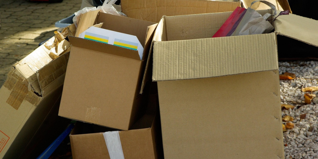 Coisas que você não deve guardar em caixas de papelão risco de mofo, pragas e prejuízos