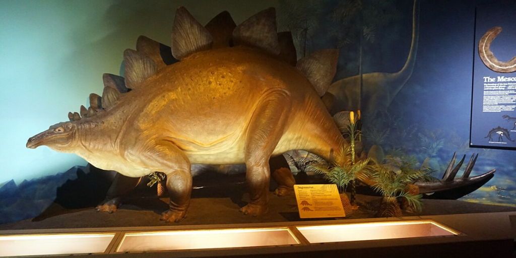 Dinossauros veja as espécies mais impressionantes que já existiram