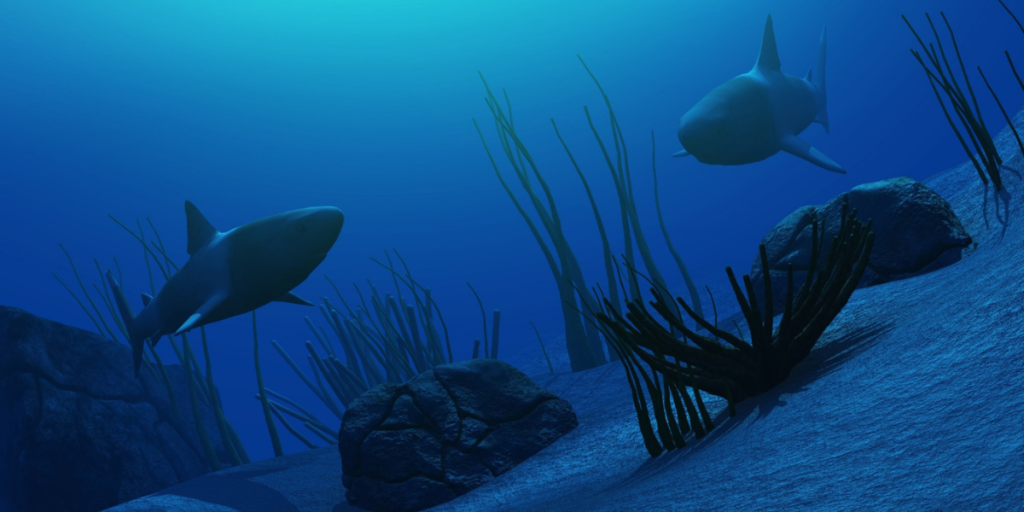 Mistérios do oceano descubra criaturas e lugares escondidos