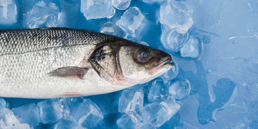 freepik.freepik_Como tirar cheiro de peixe da geladeira truques caseiros fáceis e eficazes