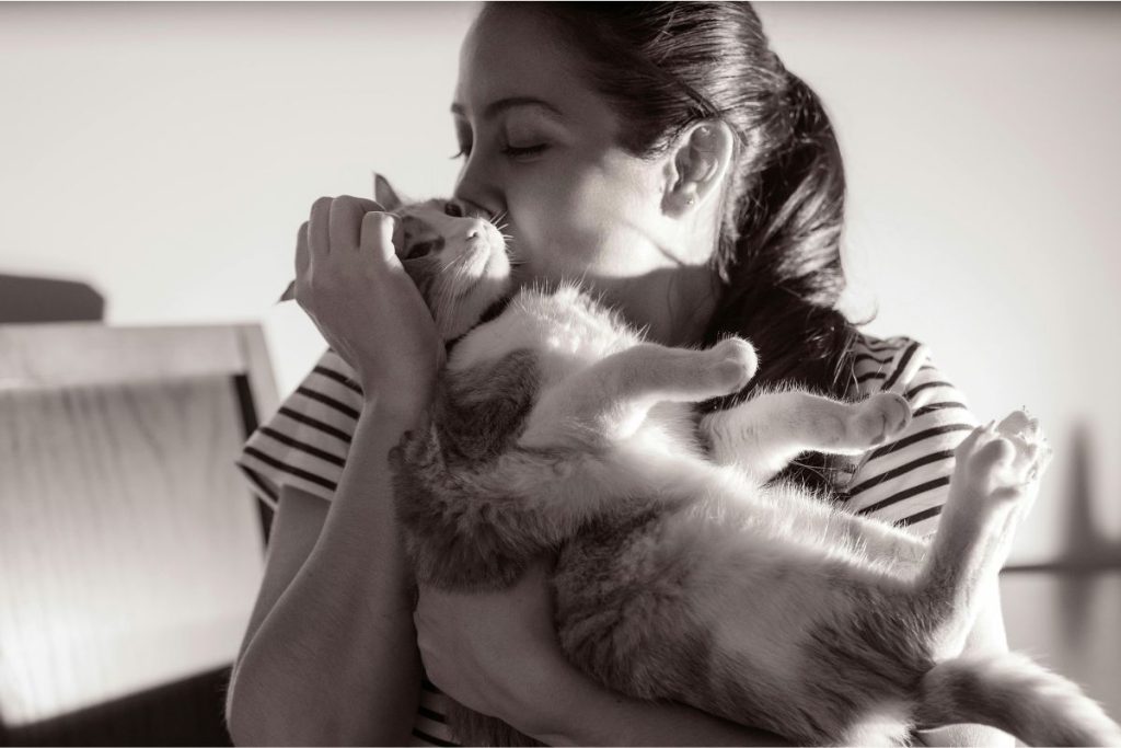 Se você está grávida, não precisa se desfazer dos seus gatos. Entenda!