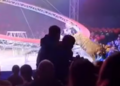 Falha em grade de proteção de circo deixa tigre solto diante da plateia